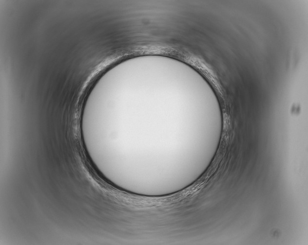 X0000096480012200801241157