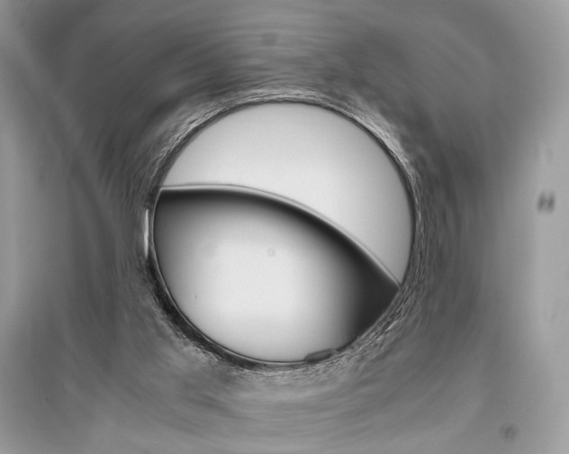X0000096480013200801241157