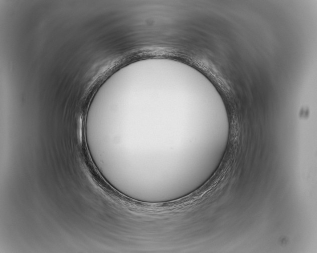 X0000096480014200801241157