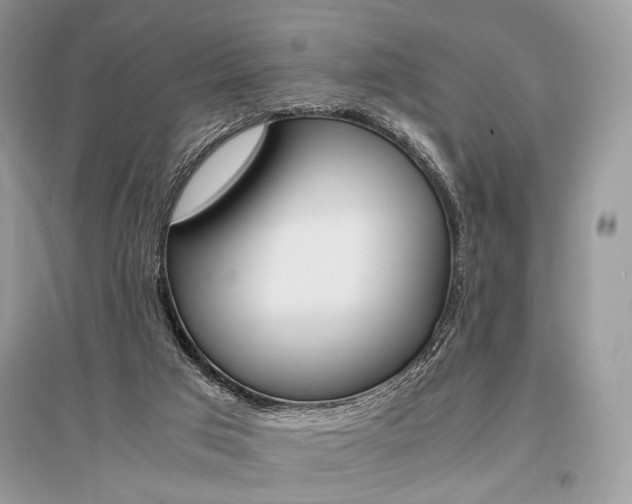 X0000096480017200801241157