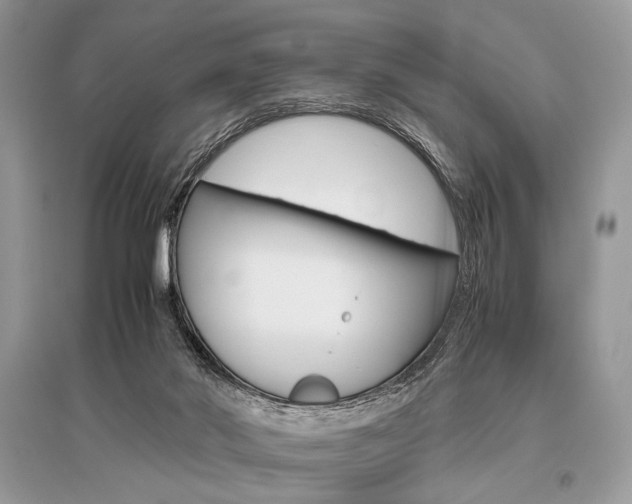 X0000096480022200801241157