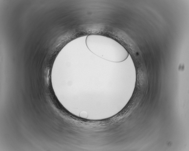 X0000096480024200801241157