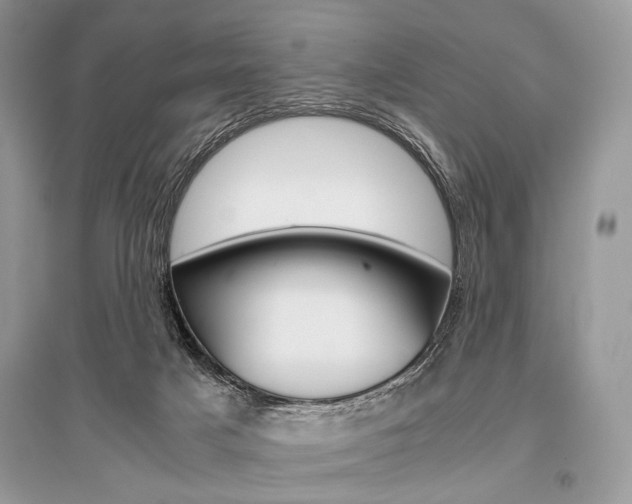 X0000096480025200801241157