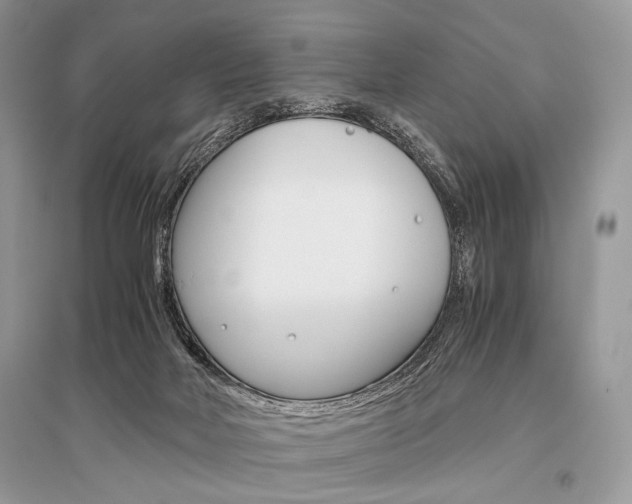 X0000096480026200801241157