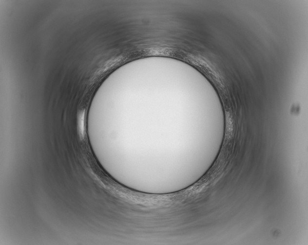 X0000096480028200801241157