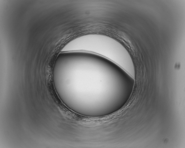 X0000096480029200801241157