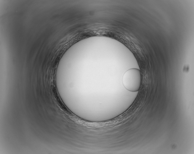 X0000096480030200801241157