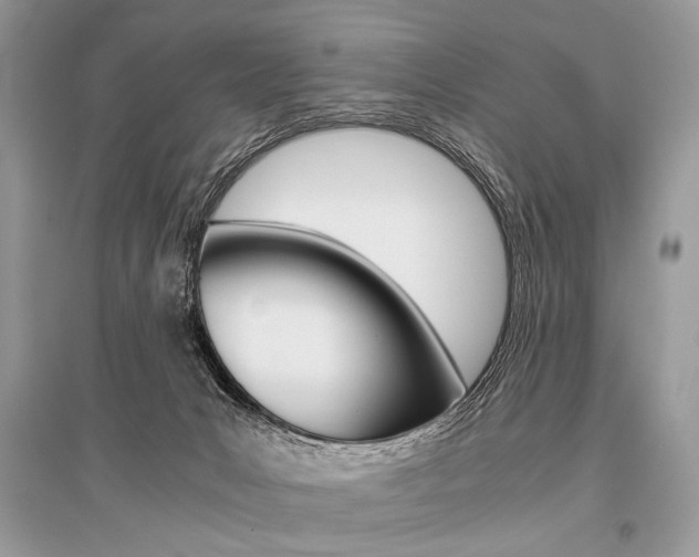 X0000096480031200801241157