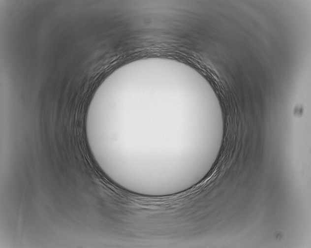 X0000096480033200801241157