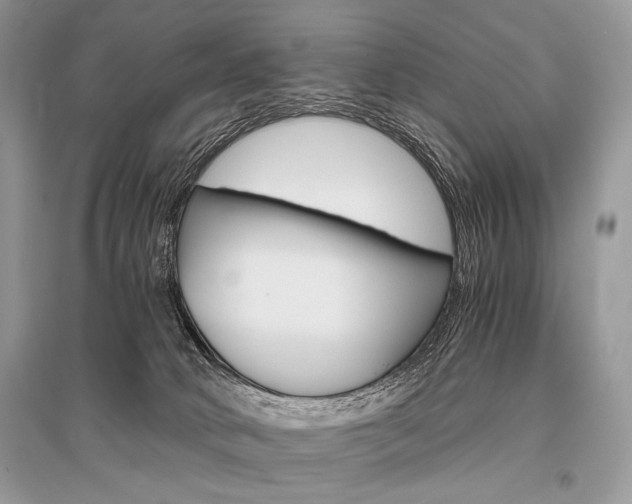 X0000096480034200801241157