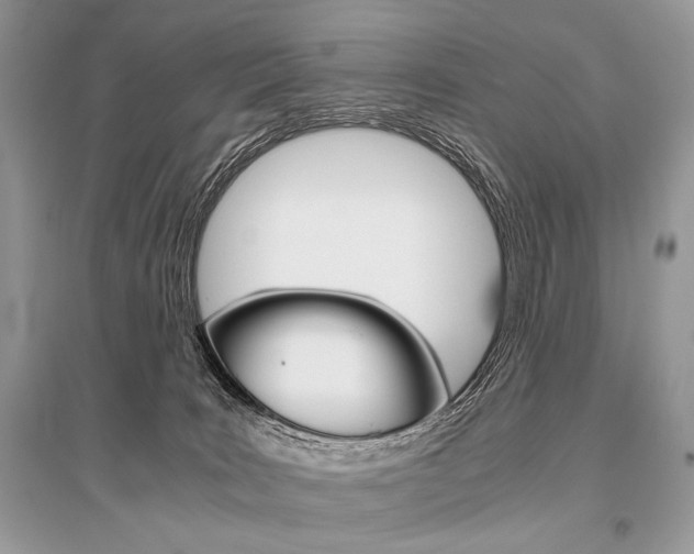 X0000096480035200801241157