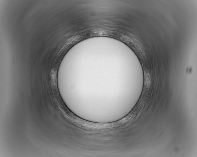 X0000096480036200801241157