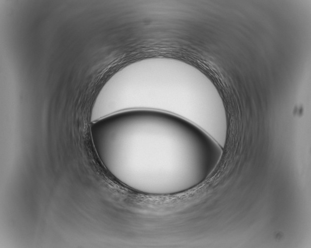 X0000096480037200801241157