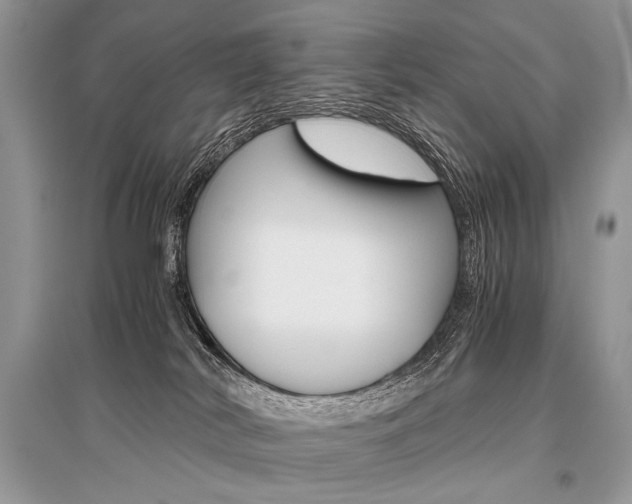 X0000096480038200801241157
