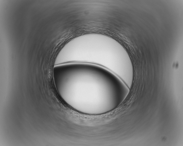 X0000096480039200801241157