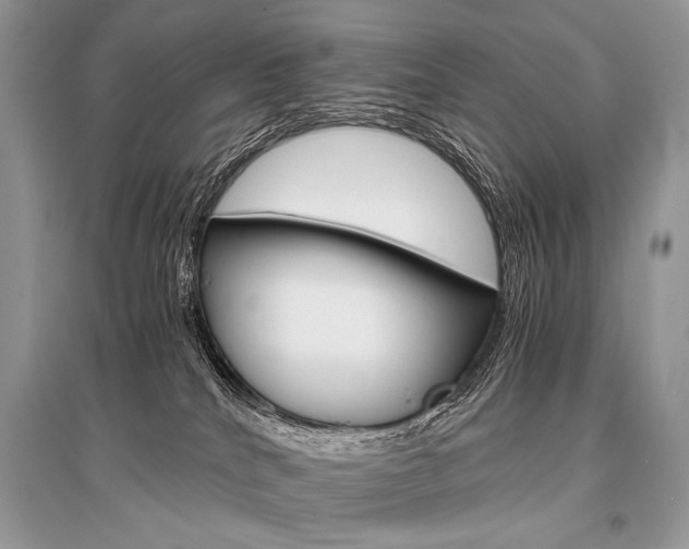 X0000096480040200801241157