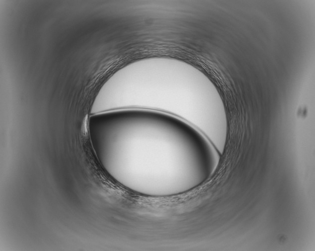 X0000096480041200801241157