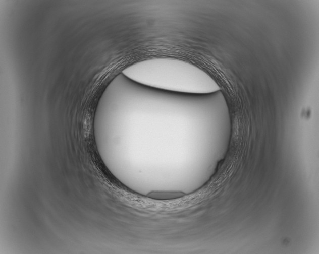 X0000096480043200801241157