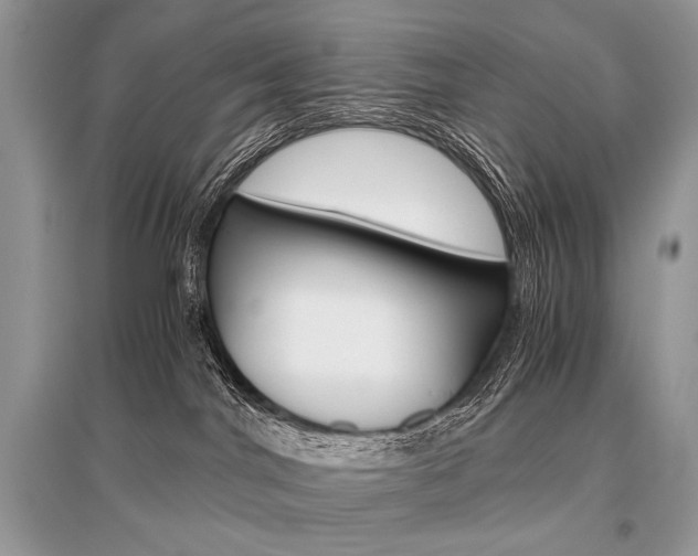 X0000096480044200801241157