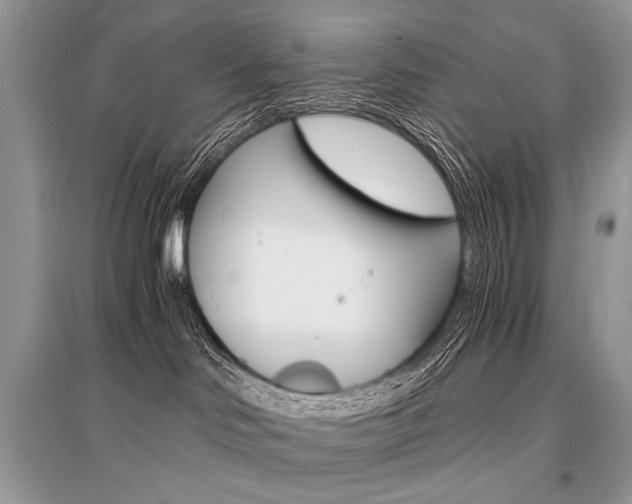 X0000096480046200801241157