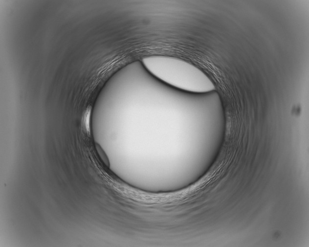 X0000096480047200801241157