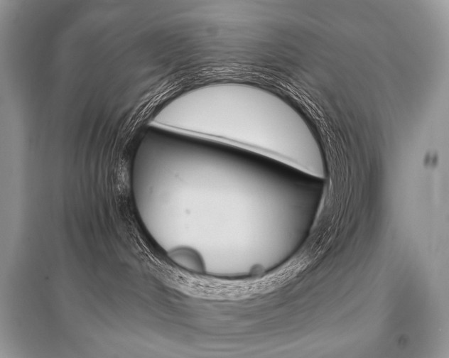 X0000096480048200801241157