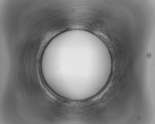 X0000096480049200801241156