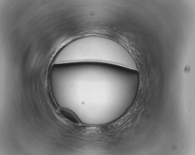 X0000096480050200801241156