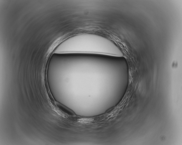 X0000096480051200801241156
