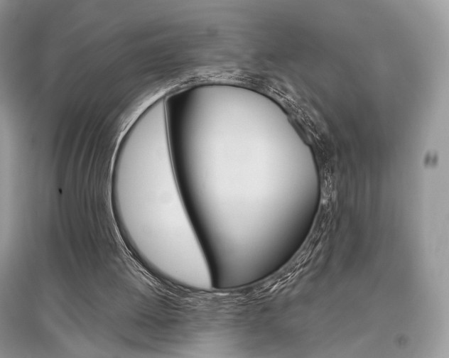 X0000096480052200801241156