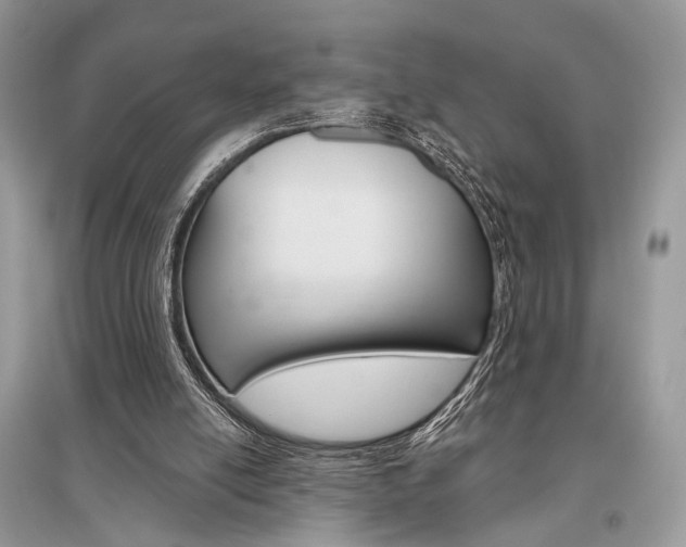 X0000096480054200801241156