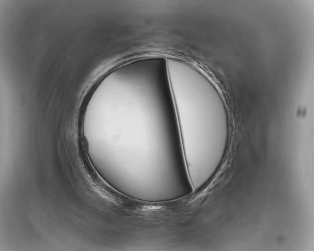X0000096480055200801241156