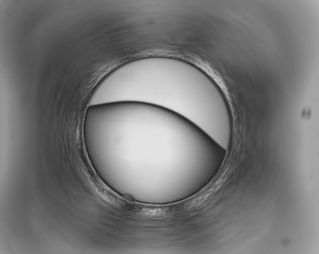 X0000096480057200801241156