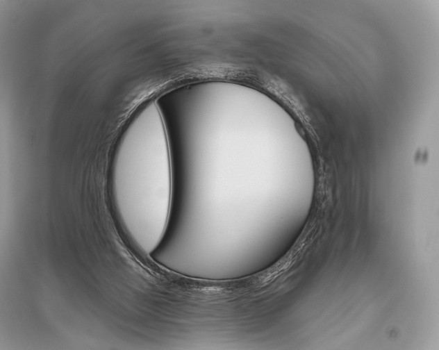 X0000096480058200801241156