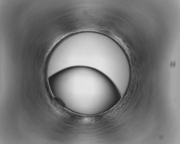 X0000096480060200801241156