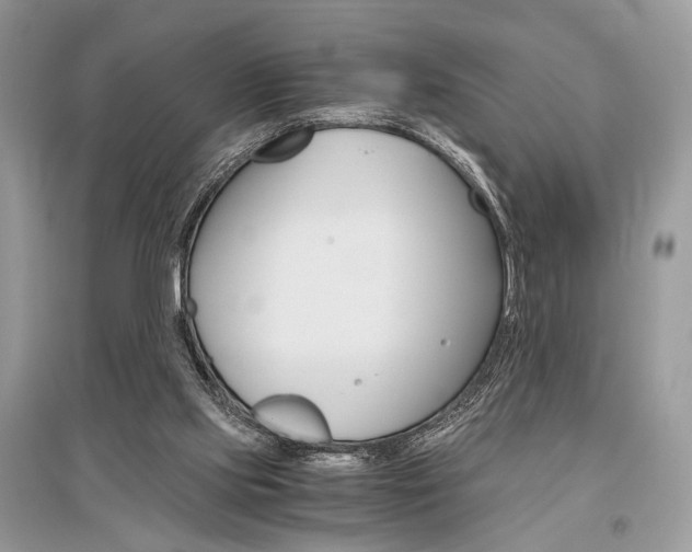 X0000096480061200801241156