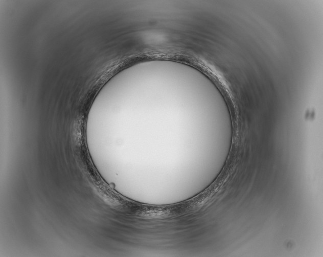 X0000096480065200801241156