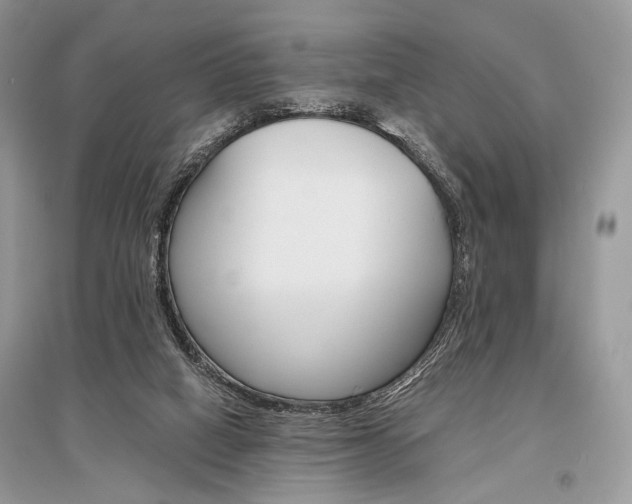 X0000096480066200801241156