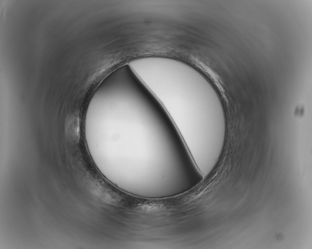 X0000096480067200801241156