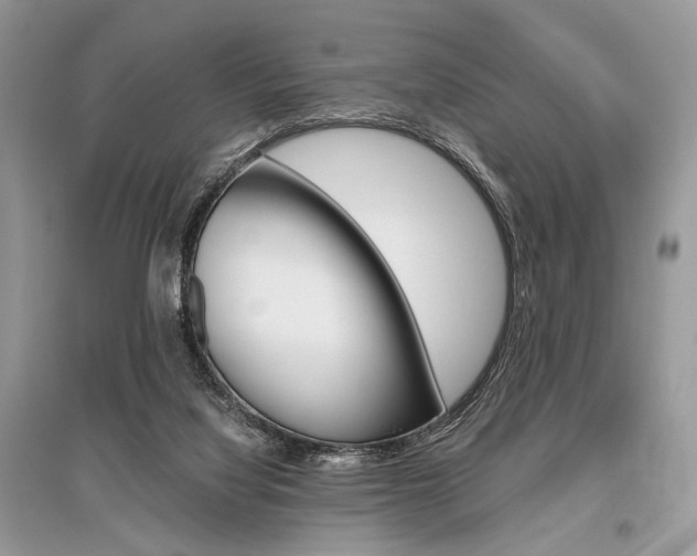 X0000096480068200801241156
