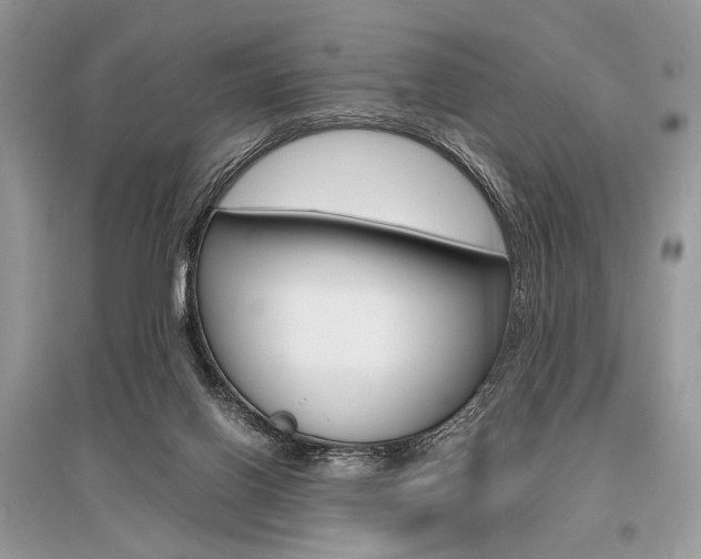 X0000096480070200801241156