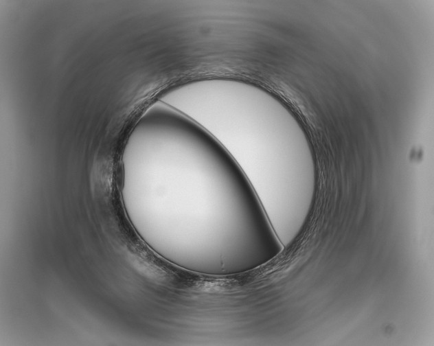 X0000096480072200801241157