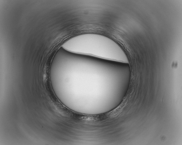 X0000096480074200801241157