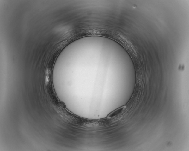 X0000096480075200801241157