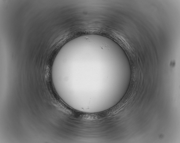 X0000096480077200801241157