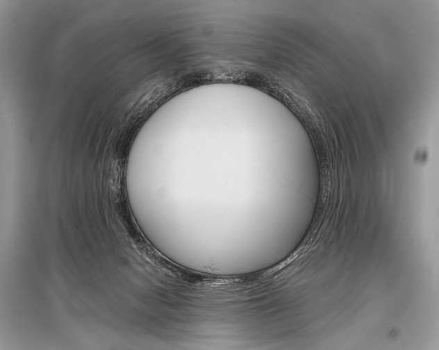 X0000096480078200801241157