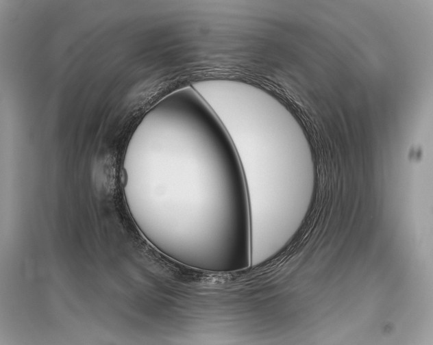X0000096480080200801241157