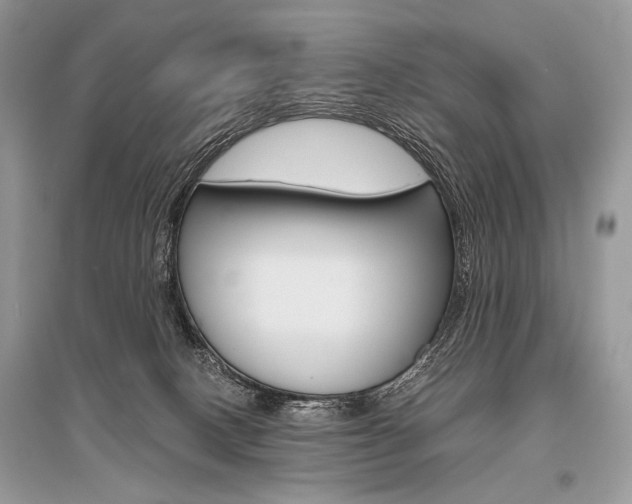 X0000096480082200801241157