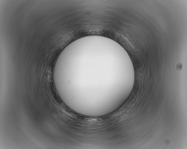 X0000096480083200801241157