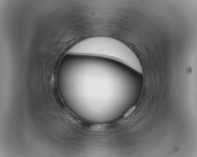 X0000096480084200801241157